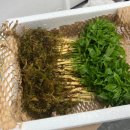 한우물1호 태양광 이미지