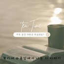 [소하] 이효리씨의 첫 아침 일과가 보이차 마시기라구요?! 마을공동체 수품당 원데이클래스 후기
