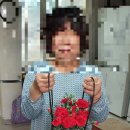 그린화원 이미지