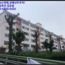 행하길 8 이미지