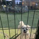 아틀리독 이미지