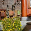 천사꽃펜션 이미지