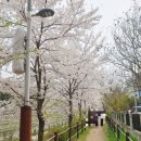 삼산초등길 이미지