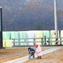 서천 금빛노을 서울캠핑장 | 충남 서천 금빛노을 서울캠핑장 오토캠핑장 텐트미제공 사이트 후기