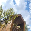 세교도서관 이미지