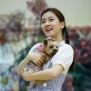 뮤지컬 오즈의 마법사 스포츠조선