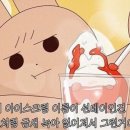 캠핑 컴퍼니
