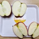 마이핏 | 다양한 신품종사과 맛보며 사과취향고르기! 마이핏사과 패키지 후기