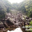 남원읍-1 Daum카페