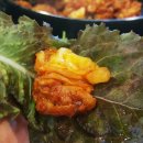괴정맛집 부산에서 먹는 춘천닭갈비