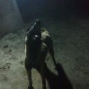 뉴페이스 이미지