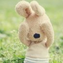 꽃과 소품