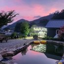 칡캐는오미자농부 이미지