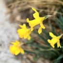 공곶이 언덕 이미지