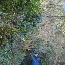 여수 금오도 이미지