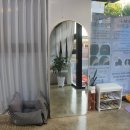 리아앤스칼프 이미지