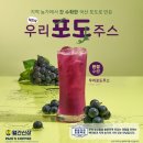 포도다방 이미지
