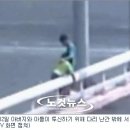 마창대교 CCTV에 찍힌 어느 가난한 부자(父子)의 죽음 이미지