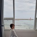 부흥침구 이미지