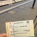 프로젝트 멍 TRIP | 독일 라이프치히에서 한 달 살기 시작