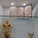 도지휘트니스