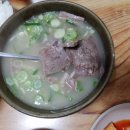 일구가든