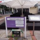 보세거리 이미지