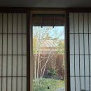 만수종합시장 | (2.1~2.28) softie 구름 같아 ☁︎︎*.