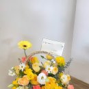 소가화 이미지