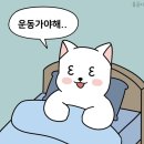 브라이튼휘트니스 이미지