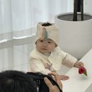 꽃길행복한그날 이미지