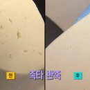 생생해물손칼국수 이미지