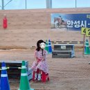 팜랜드 | 여름의 안성팜랜드후기 승마체험+동물 먹이주기+공연시간표