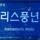 인천수목원 이미지