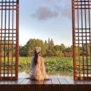 덕진-74 | [나홀로 전주 1박2일] (빛의 안부, 덕진공원, 연화정도서관, 전주한옥마을, 숨게스트하우스)