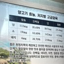 명동양갈비양꼬지