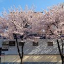 신정중앙로 이미지