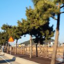 31140-9-85-11 | 영덕 축산항 숙소 펜션 하버스테이(카페하버바) 602호 침대 오션뷰 내돈내산 사용후기