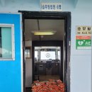 (주)엘지생활건강신제주이마트점 | [5일차] 제주 날씨는 참 제멋대로다