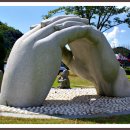 불갑저수지 수변공원 이미지