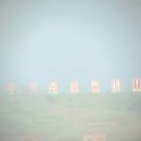 교동면-7 이미지