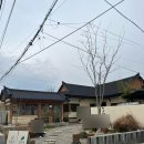 경주 황리단길 한식 맛집 미나리육회비빔밥 메뉴추천 | 청온채
