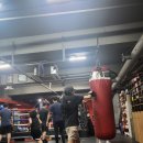 스타 복싱 다이어트 | 대치동 역삼동 복싱 후기 [홍수환스타복싱] 여자 취미 꿀잼 실내 운동 다이어트 + 체력 키우기