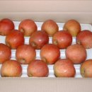 사과약국 이미지