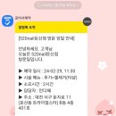 520네일 이미지
