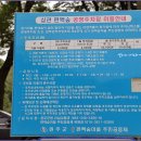 상관편백숲 공영주차장 Daum카페