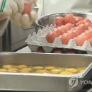 충청계란