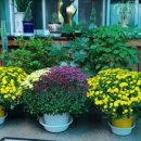 옥담사우나 이미지