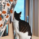 바른소리이비인후과의원 이미지