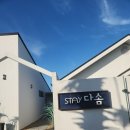 다솜스테이 이미지